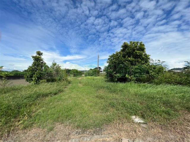 高雄岡山農地-12