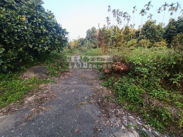 嘉義中埔農地-4