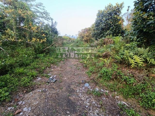 嘉義中埔農地-5