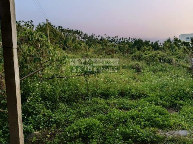 嘉義中埔農地-8