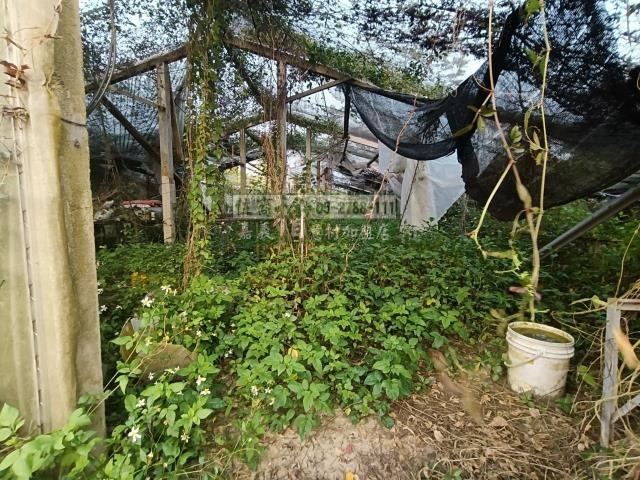 嘉義中埔農地-9