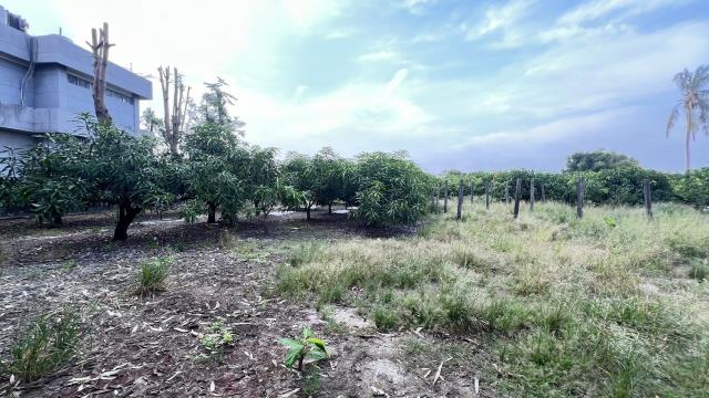 岡山農地-7