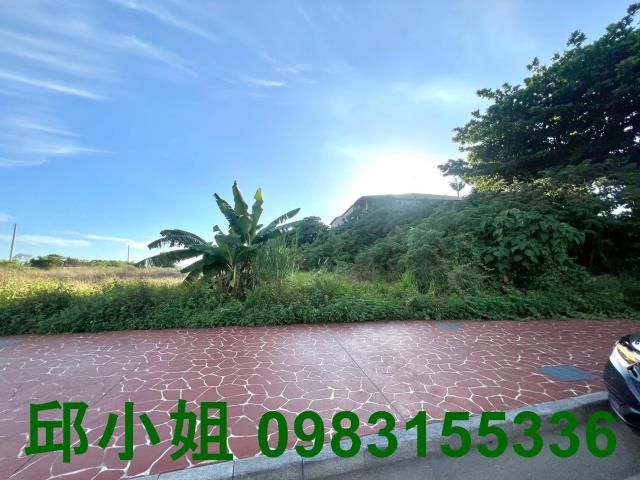 民雄農地-1