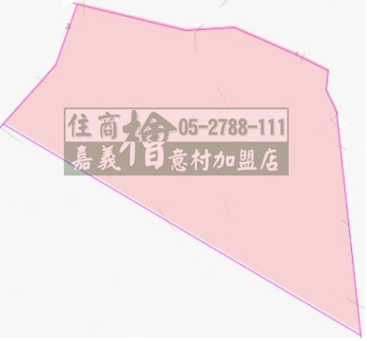 竹崎農地-11
