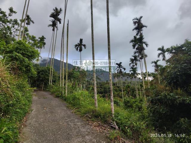 竹崎農地-2