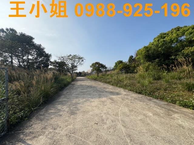桃園龍潭農地-1