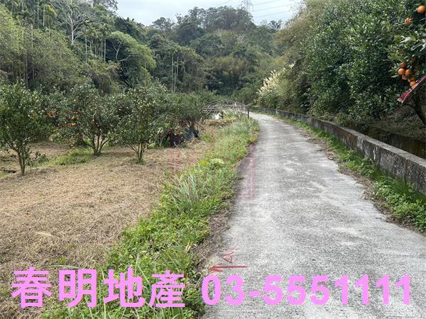 新竹峨眉農地-7