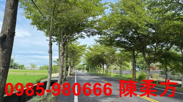 新港農地-4