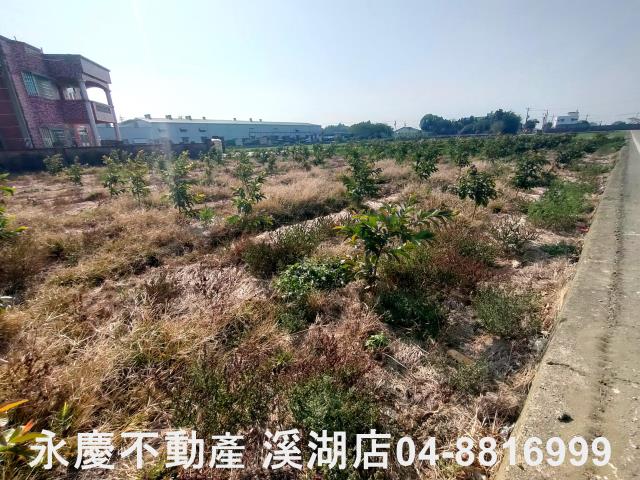 竹塘農地-10