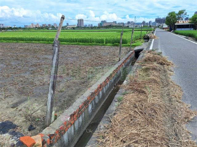 橋頭農地-4