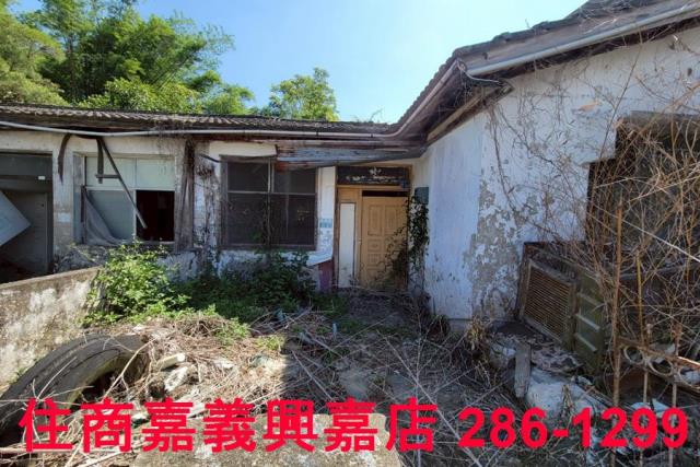 竹崎建地-8