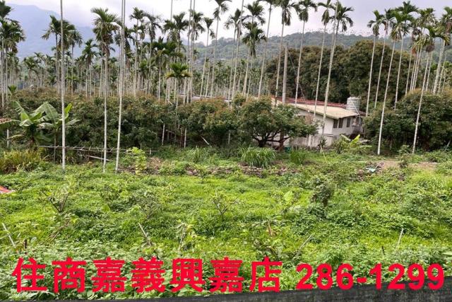 嘉義農地-2
