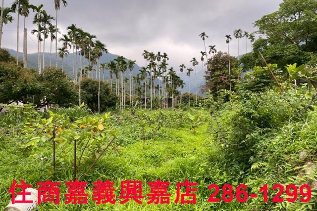 嘉義農地-5