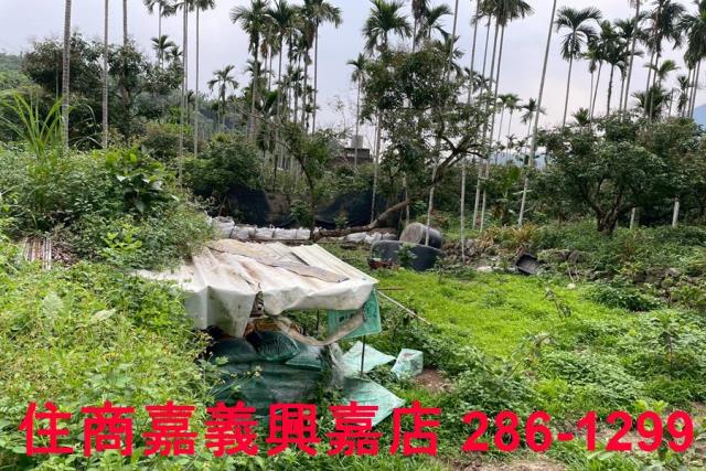 嘉義農地-7