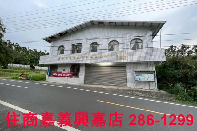 嘉義農地-9