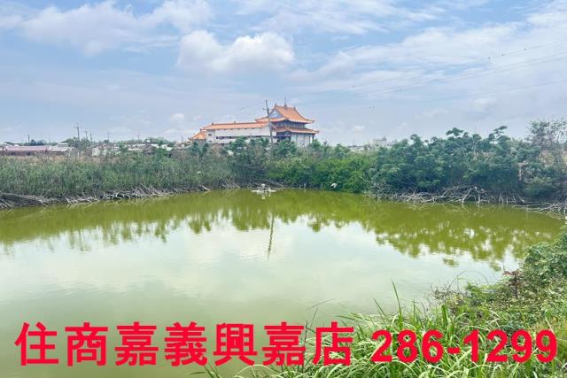 嘉義農地-5