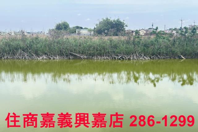 嘉義農地-6