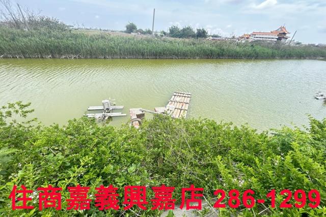 嘉義農地-7