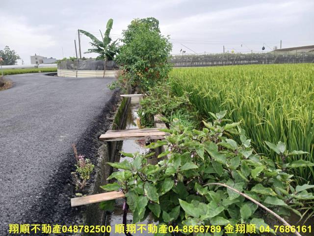 彰化農地-5