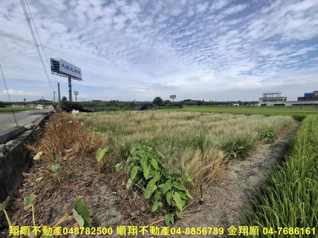 溪湖農地-6