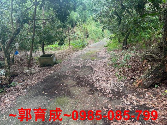 嘉義農地-11