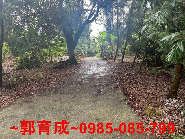 嘉義農地-13