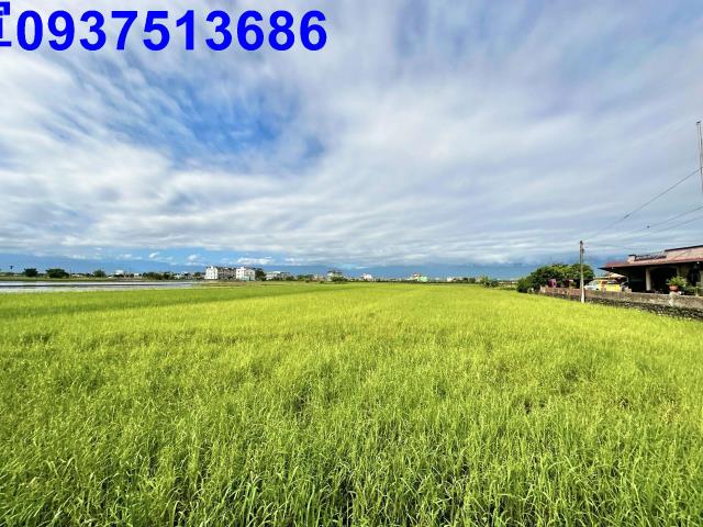 宜蘭壯圍農地-9