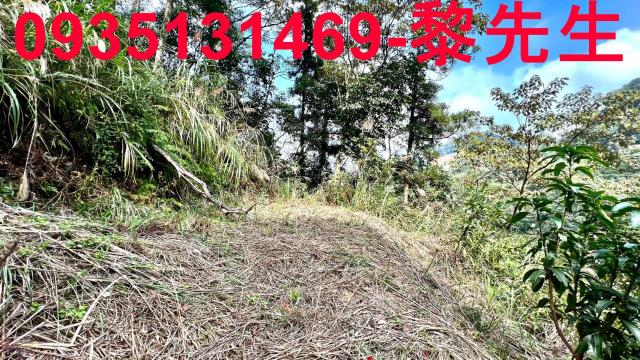 新竹橫山農地-8
