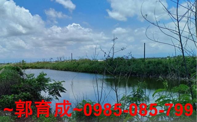 嘉義東石魚塭-10