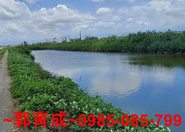 嘉義東石魚塭-2