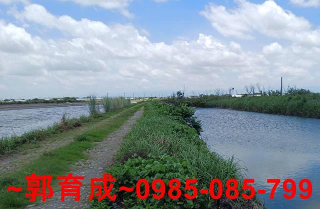 嘉義東石魚塭-4