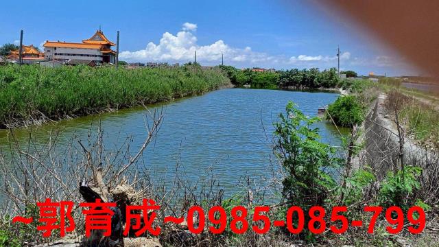嘉義東石魚塭-7
