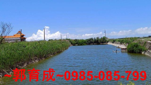 嘉義東石魚塭-8
