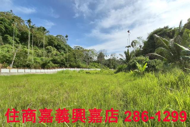 中埔農地-10