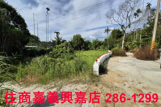 中埔農地-3