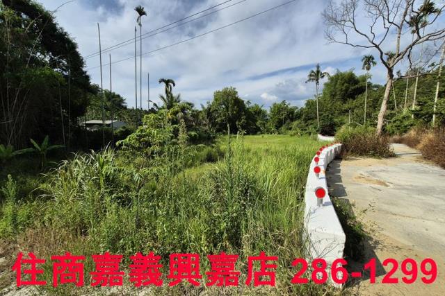 中埔農地-4