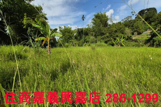 中埔農地-5