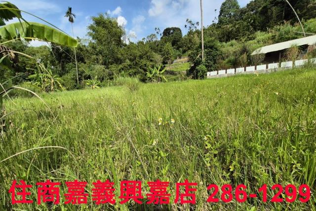 中埔農地-6