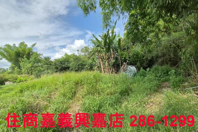 中埔農地-7