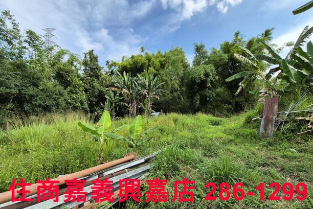 中埔農地-8