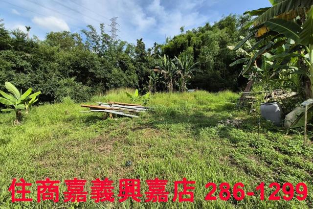 中埔農地-9