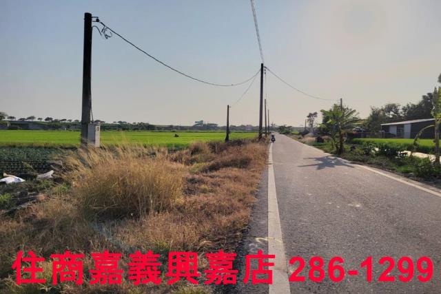 水上農地-1