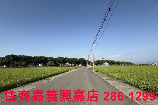 嘉義農地-10