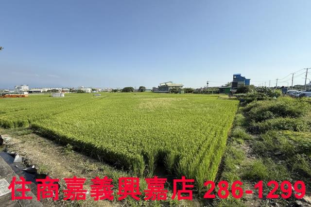 嘉義農地-2
