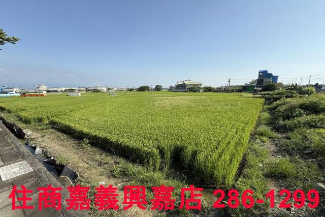 嘉義農地-3
