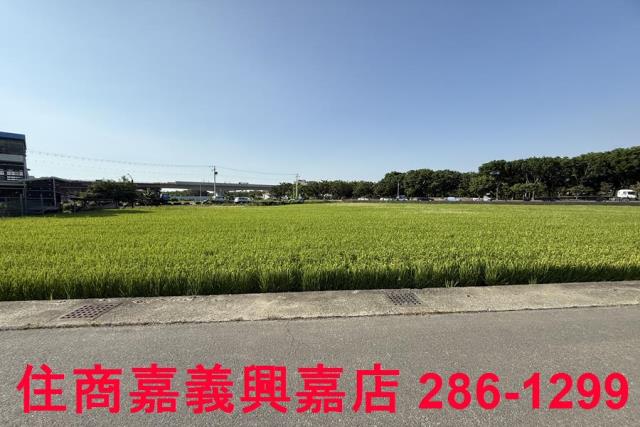 嘉義農地-6