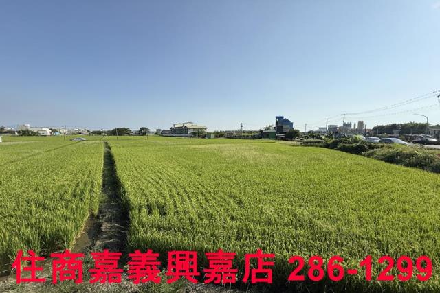 嘉義農地-8