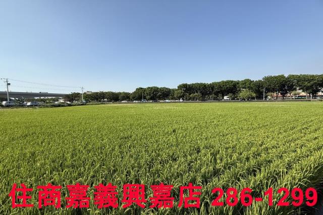 嘉義農地-9