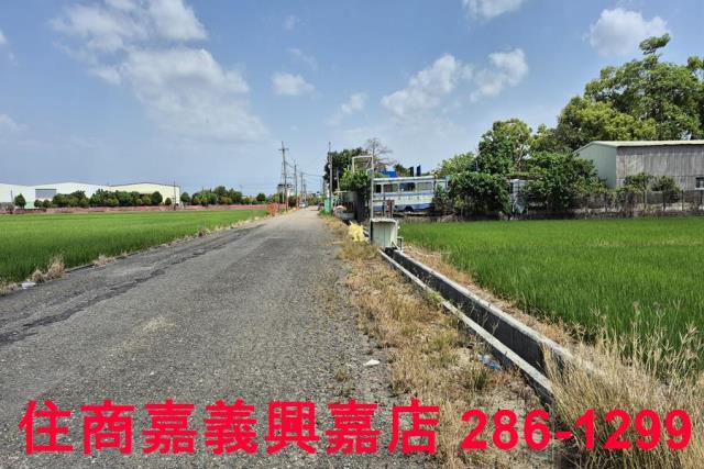 嘉義農地-10