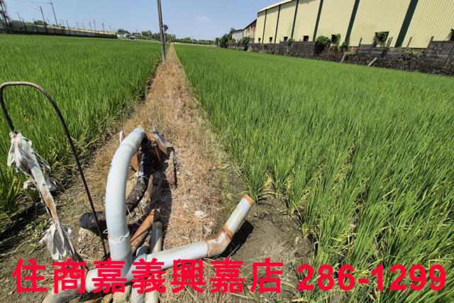 嘉義農地-4